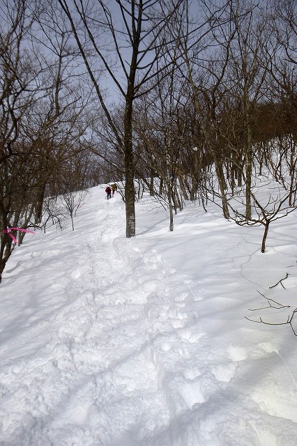 e0137200_19463497.jpg