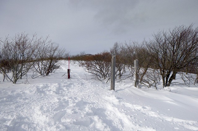 e0137200_19465685.jpg