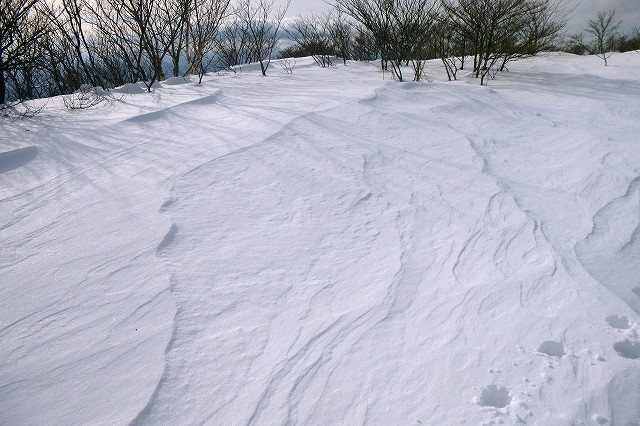 e0137200_19472085.jpg