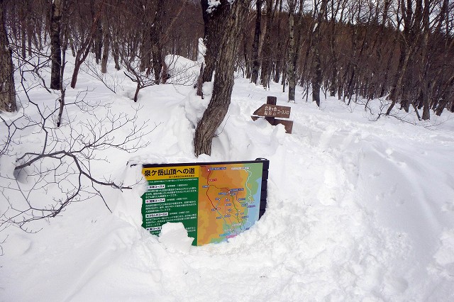 e0137200_19485467.jpg