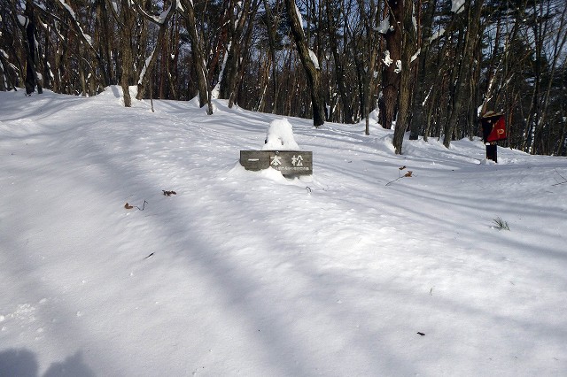 e0137200_19492312.jpg