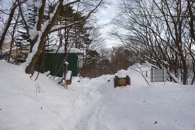 e0137200_195061.jpg