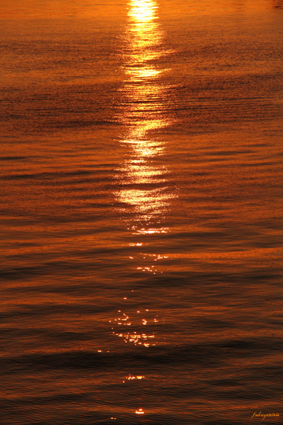 f0185802_17393453.jpg