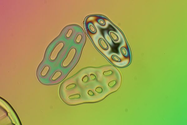 c0164709_12162739.jpg