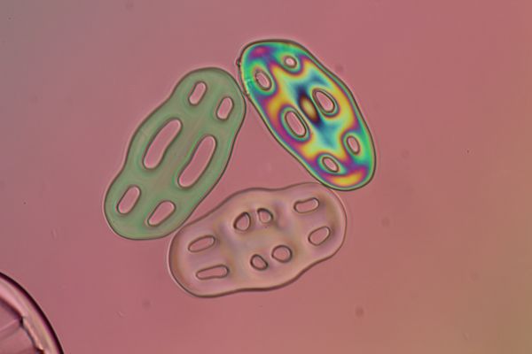c0164709_12194557.jpg