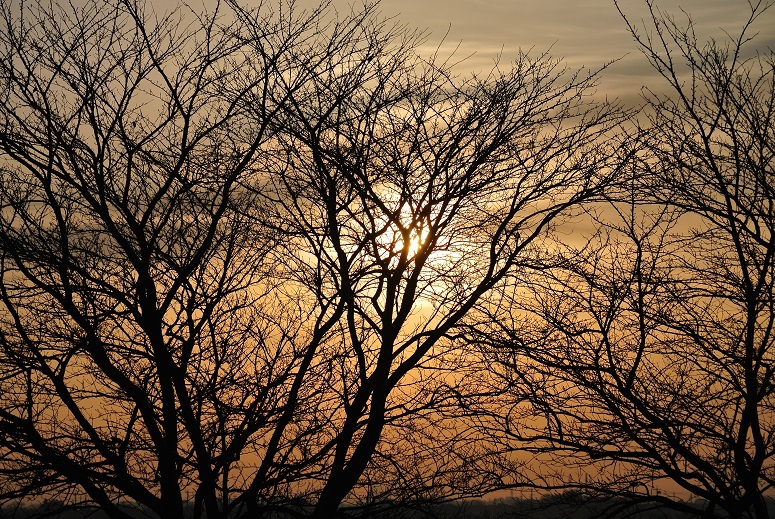 f0179209_1034481.jpg