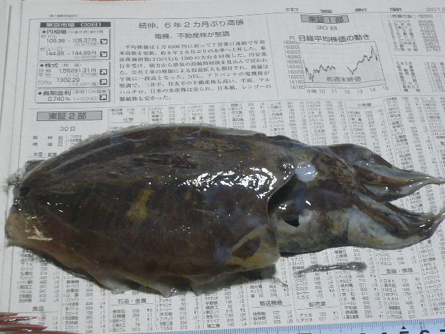e0026017_10302815.jpg
