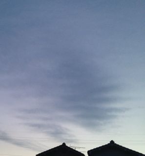 f0086618_1819421.jpg