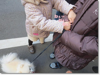 b0167519_181990.gif