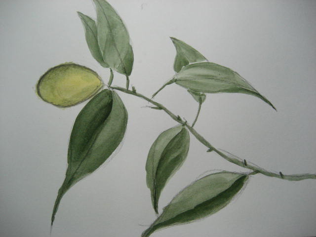 f0139520_12495013.jpg