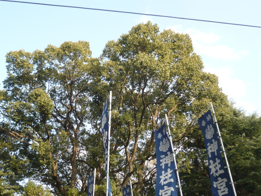 a0206332_142375.jpg