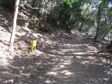 c0077338_20514554.jpg