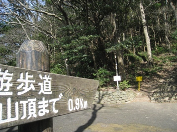 c0077338_205333.jpg