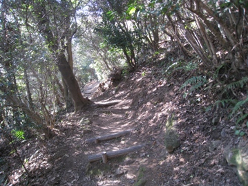 c0077338_20533377.jpg