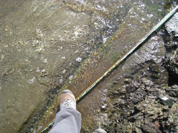 c0077338_20553278.jpg