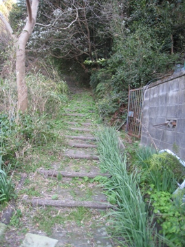 c0077338_7344931.jpg