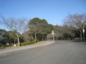 c0077338_7345922.jpg