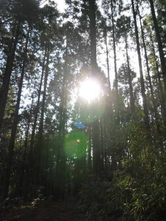 c0195439_22225610.jpg
