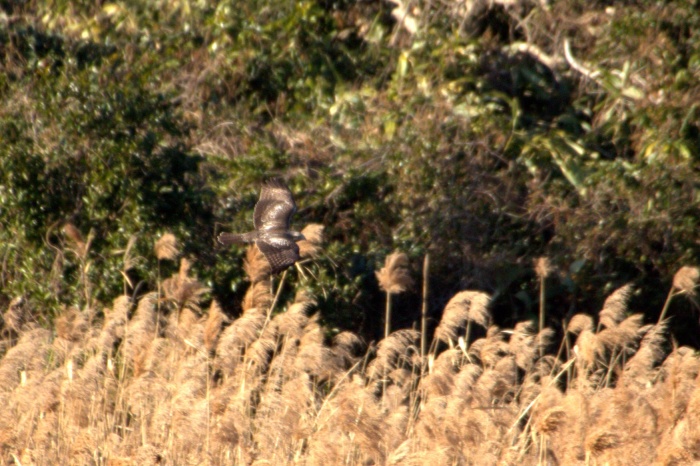 c0269342_21033897.jpg