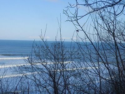 e0004756_20221389.jpg