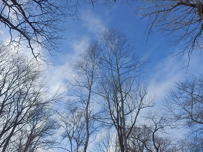 e0004756_203275.jpg