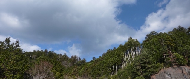 d0168567_22501626.jpg