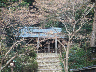 e0106372_9205018.jpg
