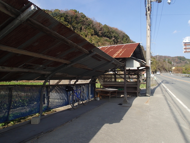 a0257375_23274073.jpg