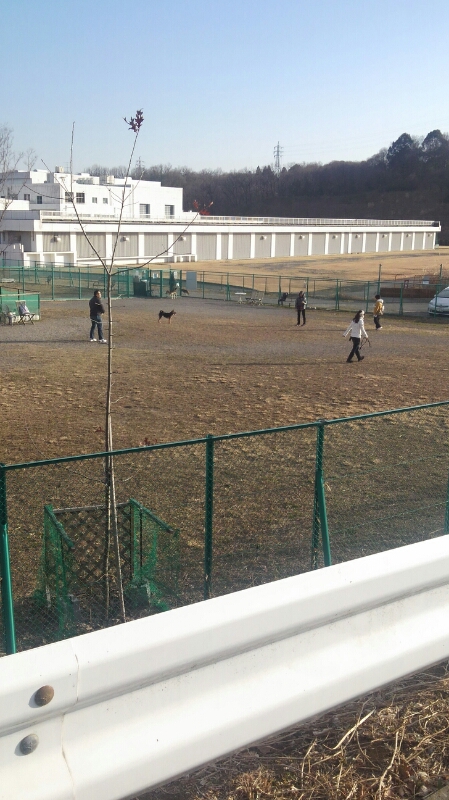 f0230380_15274195.jpg