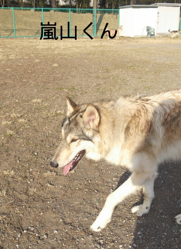 f0230380_15592962.jpg