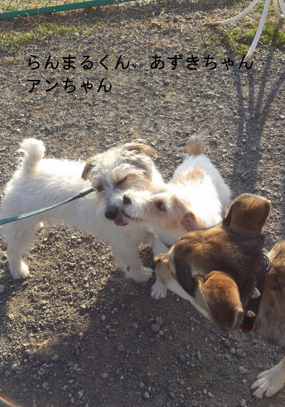 f0230380_161065.jpg
