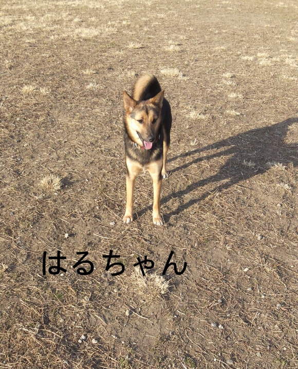 f0230380_1615371.jpg
