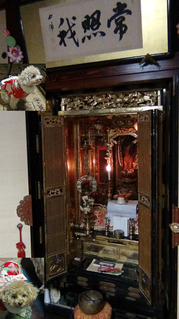 b0098881_15475178.gif