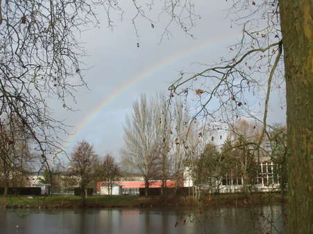 a0247585_443662.jpg