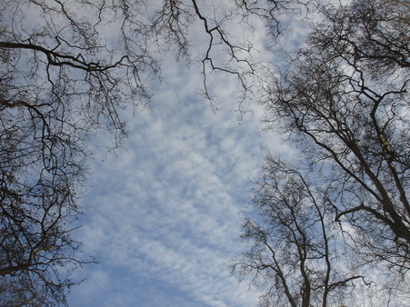a0247585_4451164.jpg