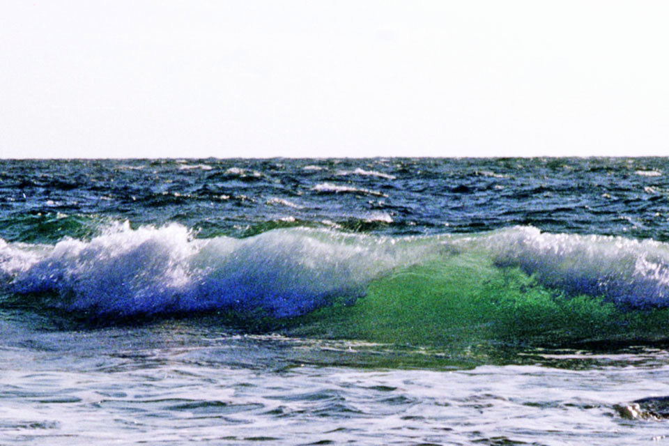 c0170789_02091846.jpg