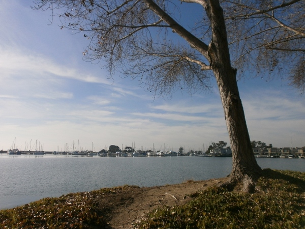 d0000995_1618326.jpg