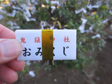 a0117599_0483340.jpg