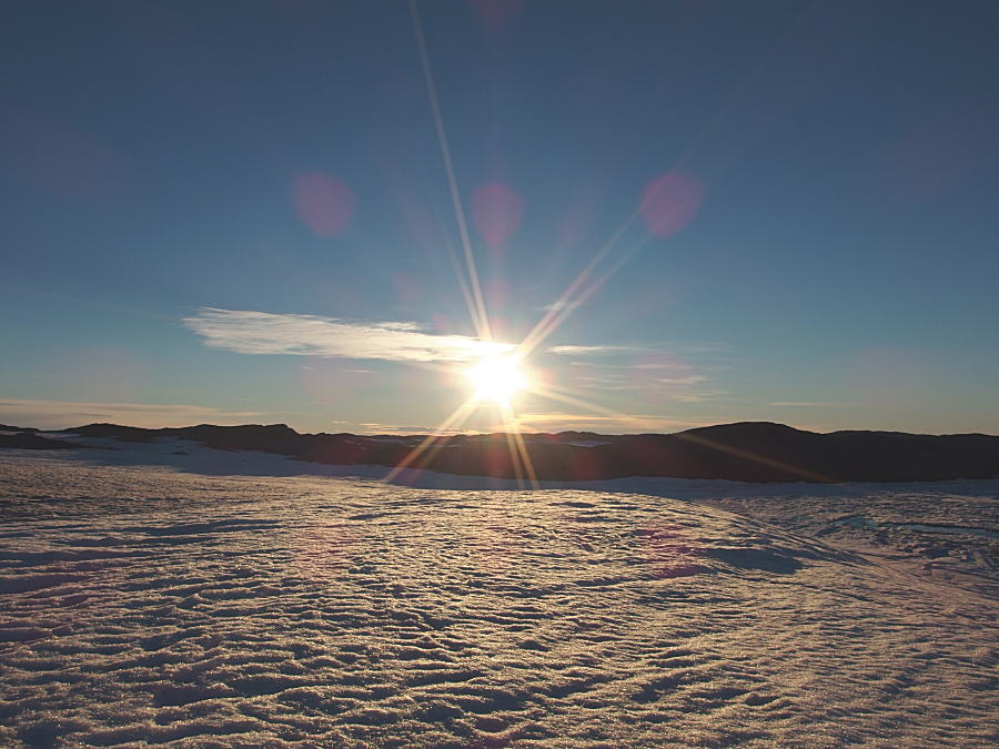 c0193901_3184446.jpg