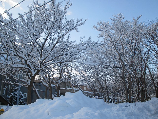 f0202703_3495221.jpg