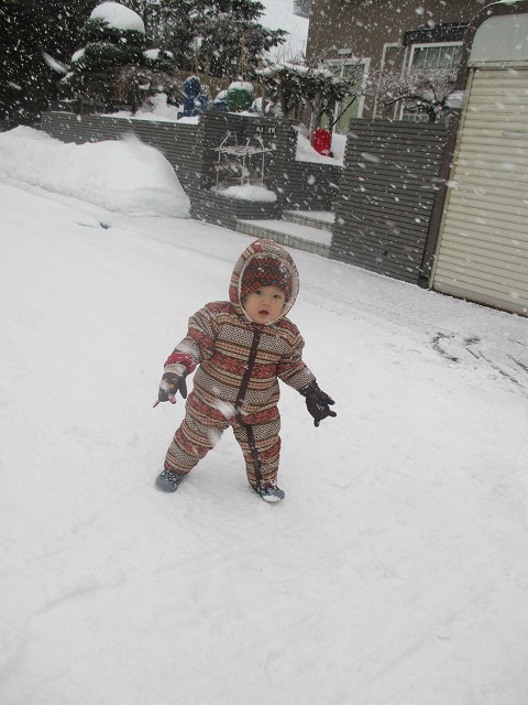 f0202703_354284.jpg