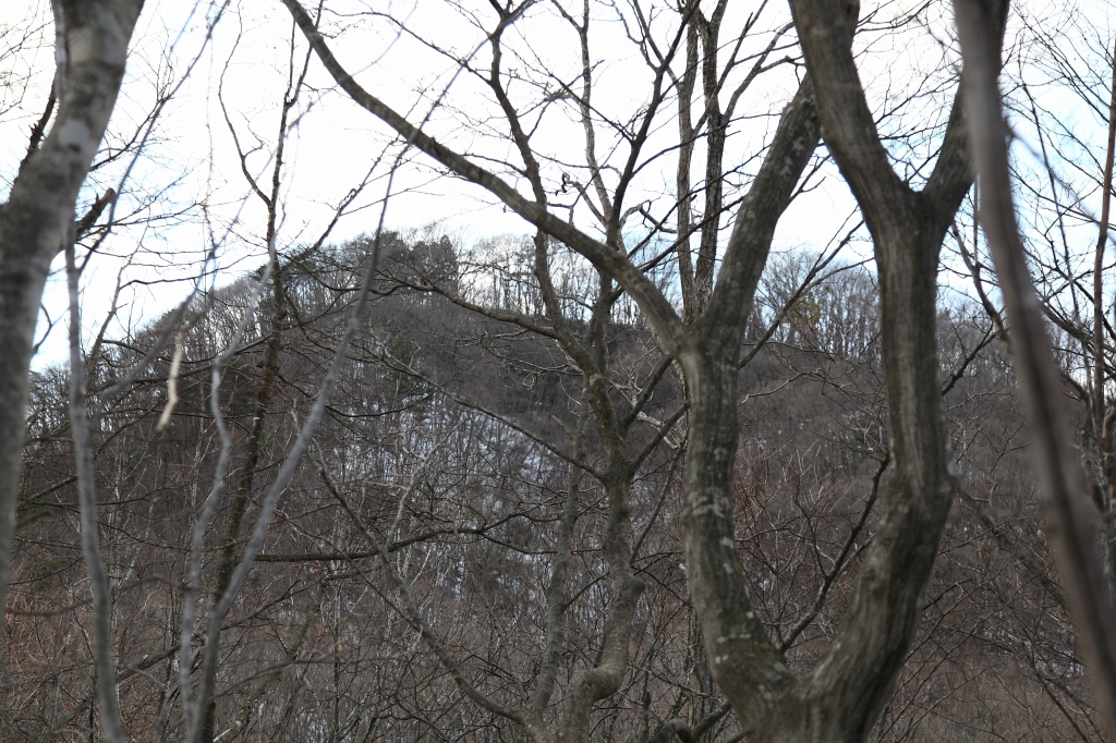 b0050305_2220473.jpg