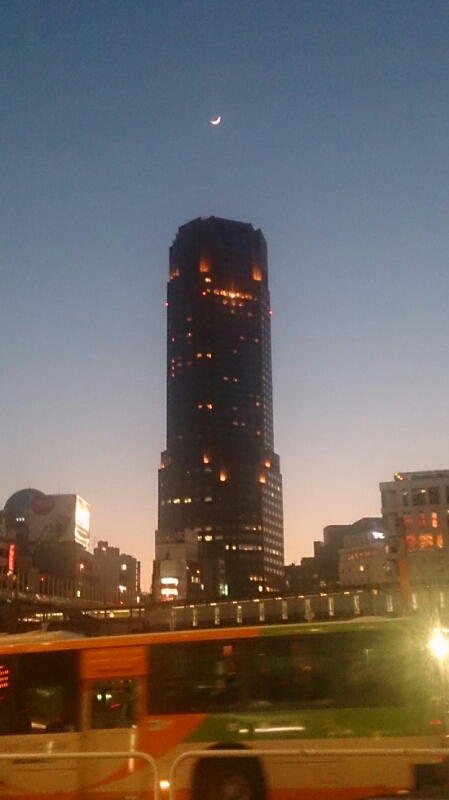 b0293908_1750643.jpg
