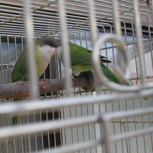 a0058124_1127265.png