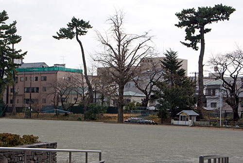 c0184125_16224544.jpg