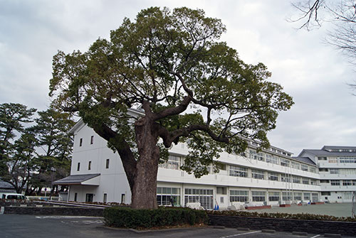 c0184125_1622461.jpg
