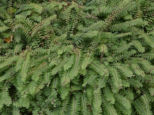 d0059226_16514927.jpg