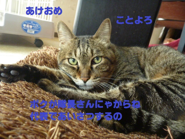 e0142430_111448.jpg