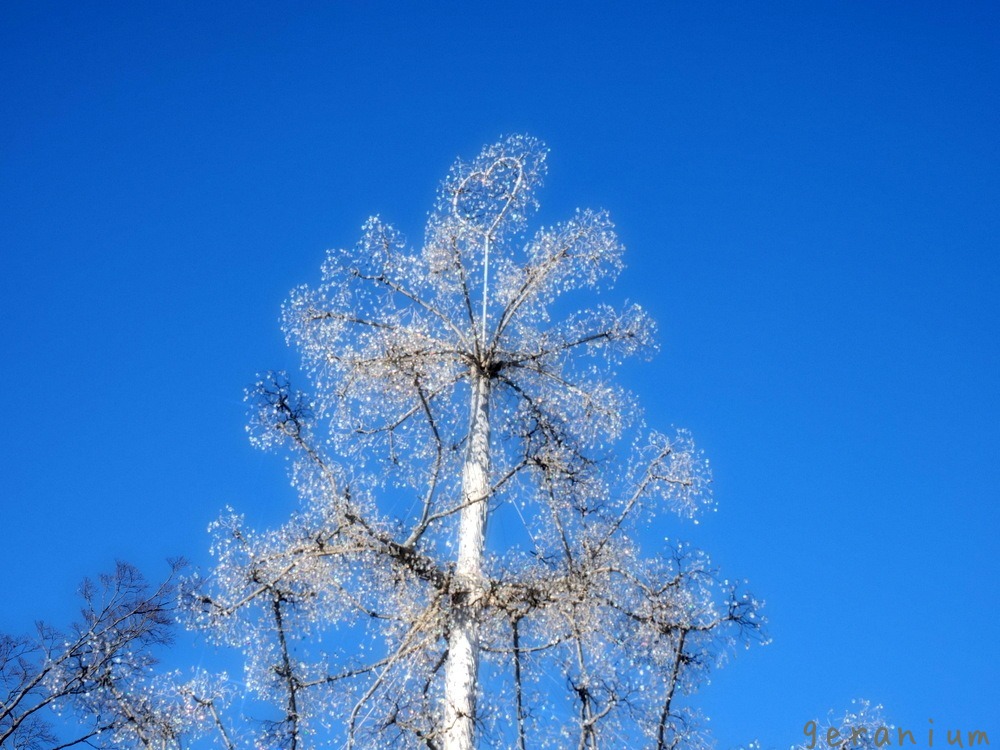 c0133533_01033888.jpg