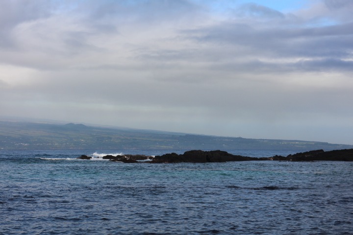 b0129041_16345294.jpg